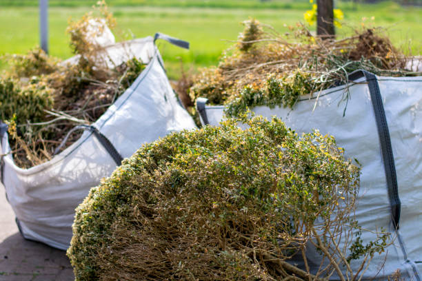 Best Construction Debris Removal  in Sale Creek, TN